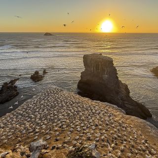 neuseeland-web-070.jpg