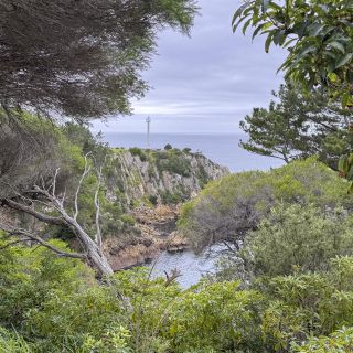 neuseeland-web-235.jpg