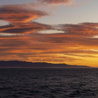 neuseeland-web-190.jpg