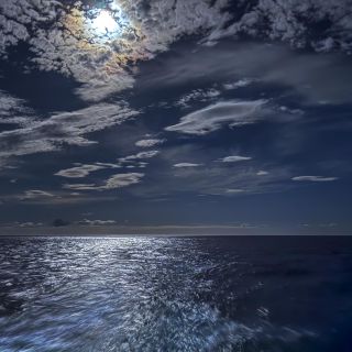 neuseeland-web-121.jpg