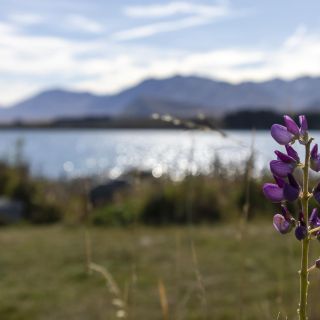 neuseeland-web-156.jpg