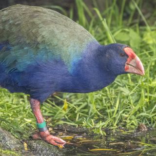 neuseeland-web-177.jpg
