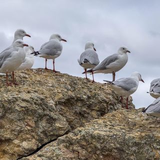 neuseeland-web-243.jpg