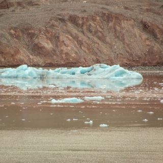 20220720-amadea-109.jpg