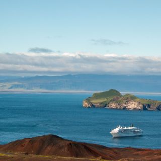 20220714-amadea-05.jpg