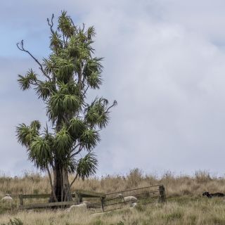 neuseeland-web-050.jpg