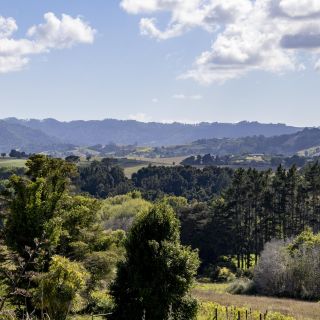 neuseeland-web-073.jpg