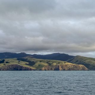neuseeland-web-130.jpg