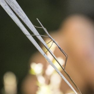 neuseeland-web-178.jpg