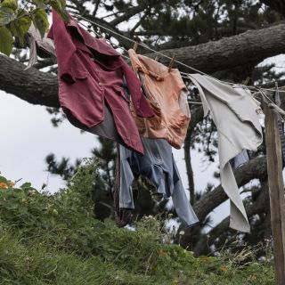 neuseeland-web-015.jpg