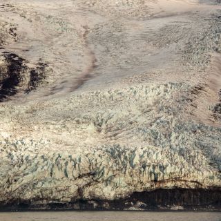 20220717-amadea-59.jpg