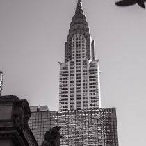 NYC-20240205219.jpg