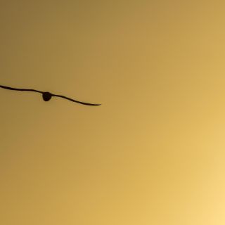 neuseeland-web-067.jpg