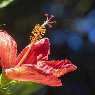 neuseeland-web-118.jpg