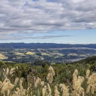 neuseeland-web-173.jpg