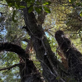 neuseeland-web-181.jpg