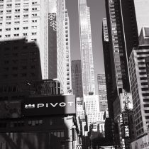 NYC-20240203018.jpg