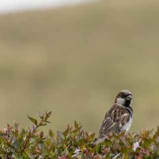 neuseeland-web-003.jpg
