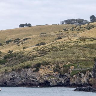neuseeland-web-188.jpg