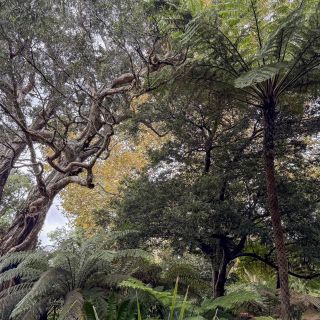 neuseeland-web-252.jpg