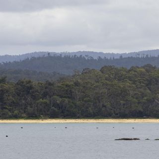 neuseeland-web-246.jpg