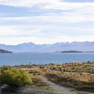 neuseeland-web-150.jpg