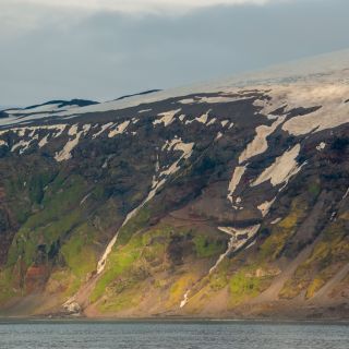 20220717-amadea-60.jpg