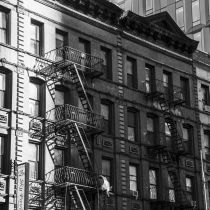 NYC-20240205197.jpg
