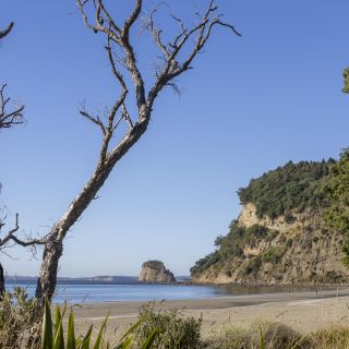 neuseeland-web-071.jpg