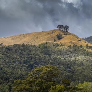 neuseeland-web-092.jpg
