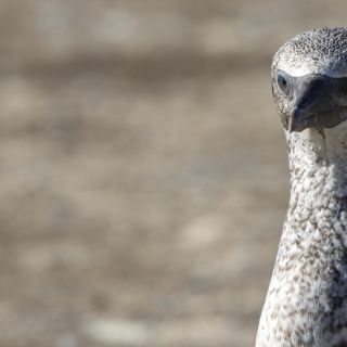 neuseeland-web-104.jpg