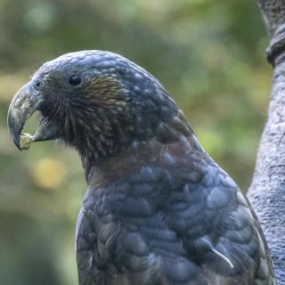 neuseeland-web-182.jpg