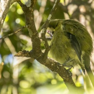 neuseeland-web-183.jpg