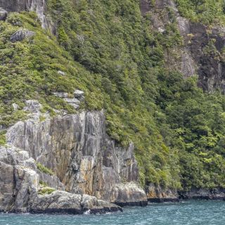 neuseeland-web-199.jpg
