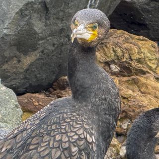 neuseeland-web-242.jpg