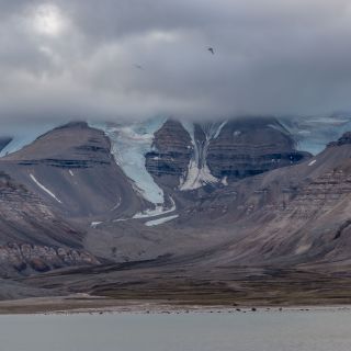 20220719-amadea-63.jpg