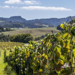 neuseeland-web-074.jpg