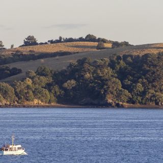 neuseeland-web-083.jpg