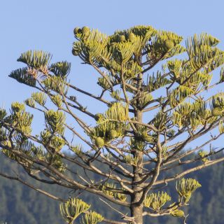 neuseeland-web-137.jpg