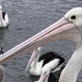 neuseeland-web-241.jpg