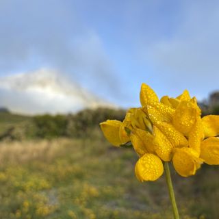 neuseeland-web-047.jpg