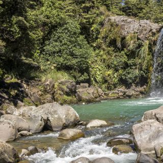 neuseeland-web-052.jpg