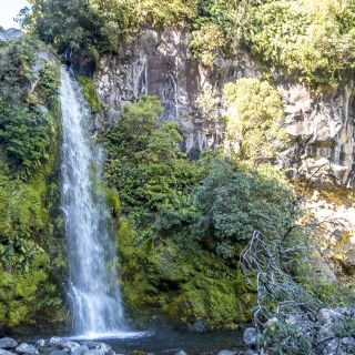 neuseeland-web-042.jpg