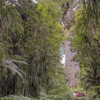 neuseeland-web-090.jpg