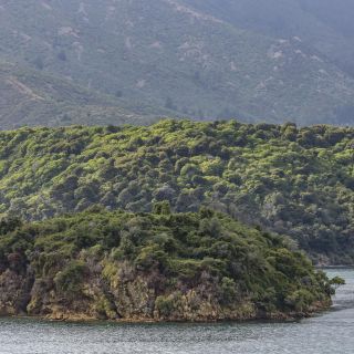 neuseeland-web-124.jpg