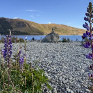neuseeland-web-155.jpg